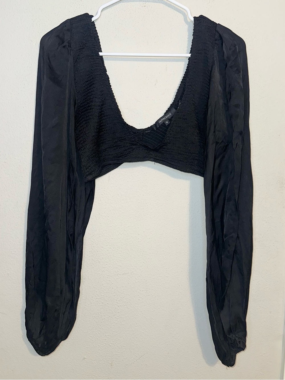 Olivaceous Black Long Sleeve Cropped Smocked Top